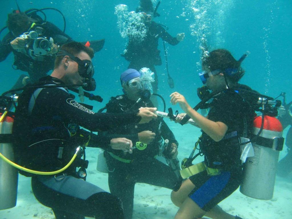 Kids Sea Camp, family dive vacations, kids dive training,