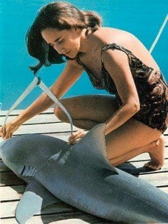 Shark Lady, Dive Training