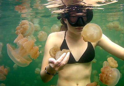 Kids and diving, Jellyfish lake, family diving, family vacations