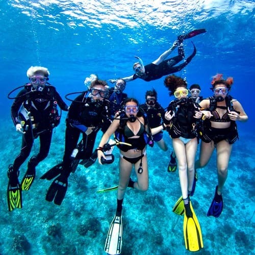 Kids Sea Camp, diving with Kids, diving with family